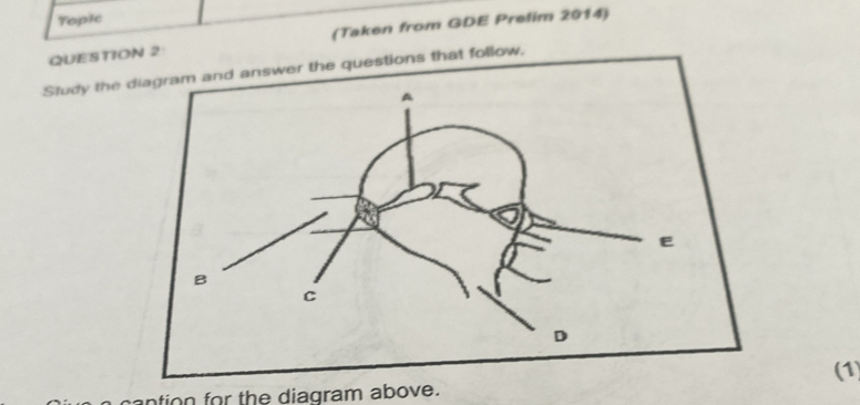 Topic 
QUESTION 2 (Taken from GDE Prelim 2014) 
Study the dia and answer the questions that follow, 
mantion for the diagram above. (1)