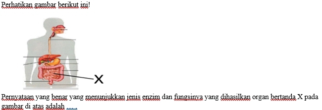 Perhatikan gambar berikut ini! 
Pernyataan yang benar yang menuniukkan jenis enzim dan fungsinya yang dihasilkan organ bertanda X pada 
gambar di atas adalah