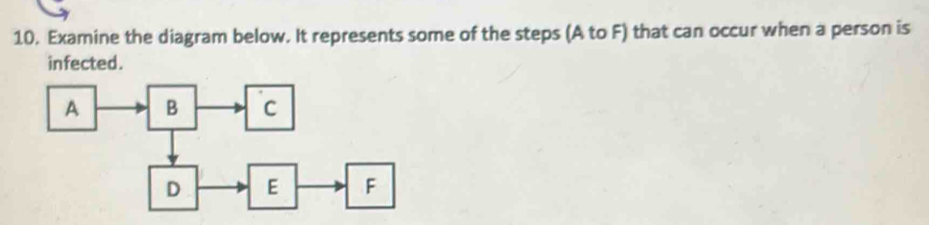 Examine the diagram below. It represents some of the steps (A to F) that can occur when a person is 
infected.