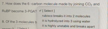 How does the 6 -carbon molecule made by joining CO_2 and
RuBP become 3 -PGA? [ Select ]
rubisco breaks it into 2 molecules
8. Of the 3 molecules b it is hydrolyzed into 3 using water
Selact it is highly unstable and breaks apart