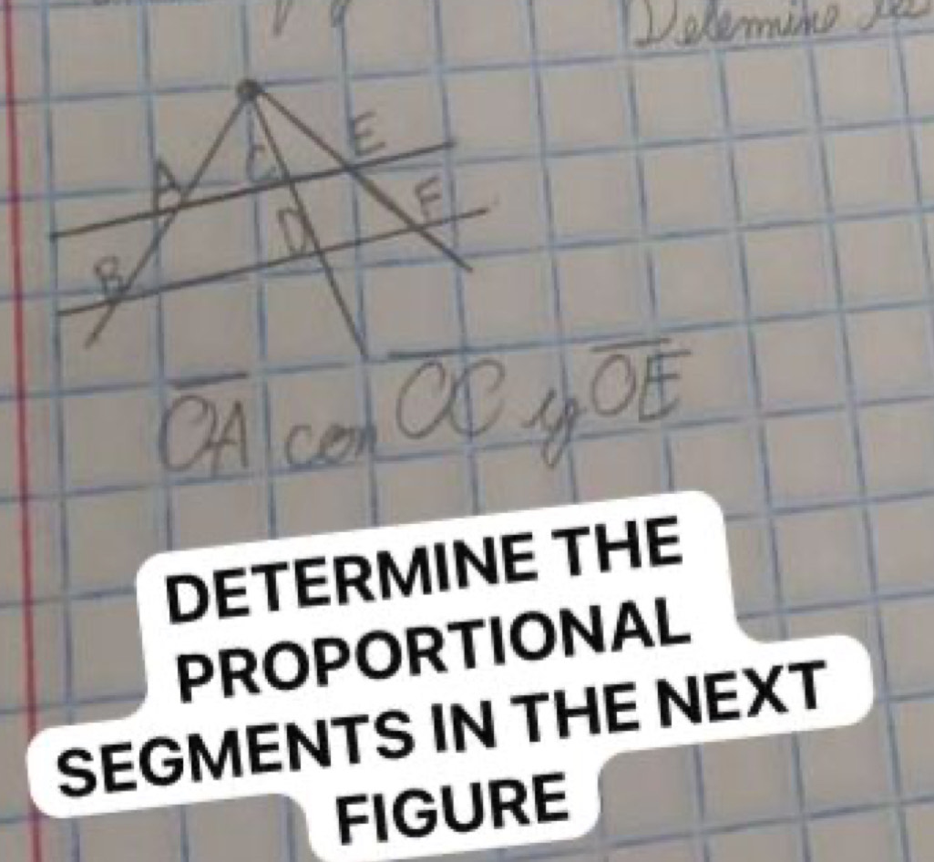 DETERMINE THE 
PROPORTIONAL 
SEGMENTS IN THE NEXT 
FIGURE