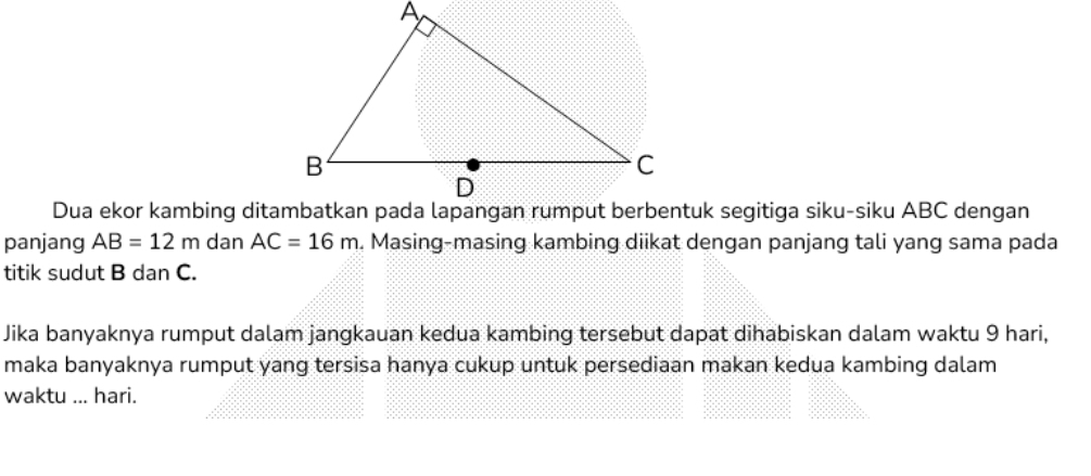 panjang AB=12m dan AC=16m. Masing-masing kambing diikat dengan panjang tali yang sama pada 
titik sudut B dan C. 
Jika banyaknya rumput dalam jangkauan kedua kambing tersebut dapat dihabiskan dalam waktu 9 hari, 
maka banyaknya rumput yang tersisa hanya cukup untuk persediaan makan kedua kambing dalam 
waktu ... hari.