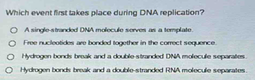 Which event first takes place during DNA replication?
A single-stranded DNA molecule serves as a template.
Free nucleotides are bonded together in the correct sequence.
Hydrogen bonds break and a double-stranded DNA molecule separates.
Hydrogen bonds break and a double-stranded RNA molecule separates.