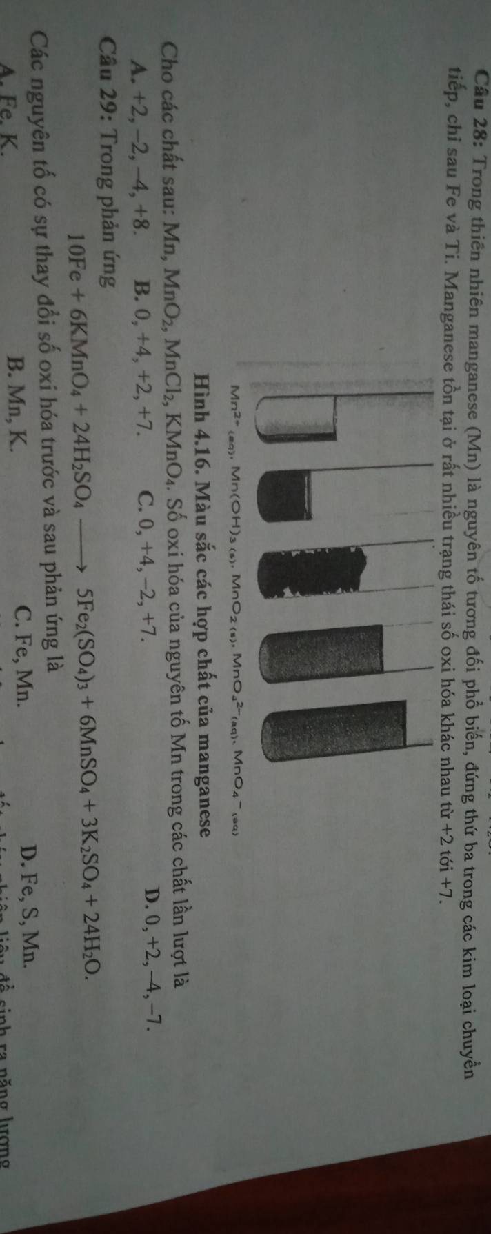 Trong thiên nhiên manganese (Mn) là nguyên tố tương đối phổ biến, đứng thứ ba trong các kim loại chuyền
tiếp, chỉ sau Fe và Ti. Manganese tồn tại ở rất nhiều trạng thái số oxi hóa khác nhau tir+2toi+7.
Mn^(2+) .Mn(OH)_3(s).MnO_2(s).MnO_4^((2-)(aq) MnO4 ~(aq)
Hình 4.16. Màu sắc các hợp chất của manganese
Cho các chất sau: Mn, MnO_2) MnCl_2 , KMnO₄. Số oxi hóa của nguyên tố Mn trong các chất lần lượt là
A. +2, −2, −4, +8. B. 0, +4, +2, +7. C. 0, +4, -2, +7. D. 0, +2, -4, -7.
Câu 29: Trong phản ứng
10Fe+6KMnO_4+24H_2SO_4to 5Fe_2(SO_4)_3+6MnSO_4+3K_2SO_4+24H_2O. 
Các nguyên tố có sự thay đổi số oxi hóa trước và sau phản ứng là
A. Fe. K. B. Mn, K.
C. Fe, Mn. D. Fe, S, Mn.