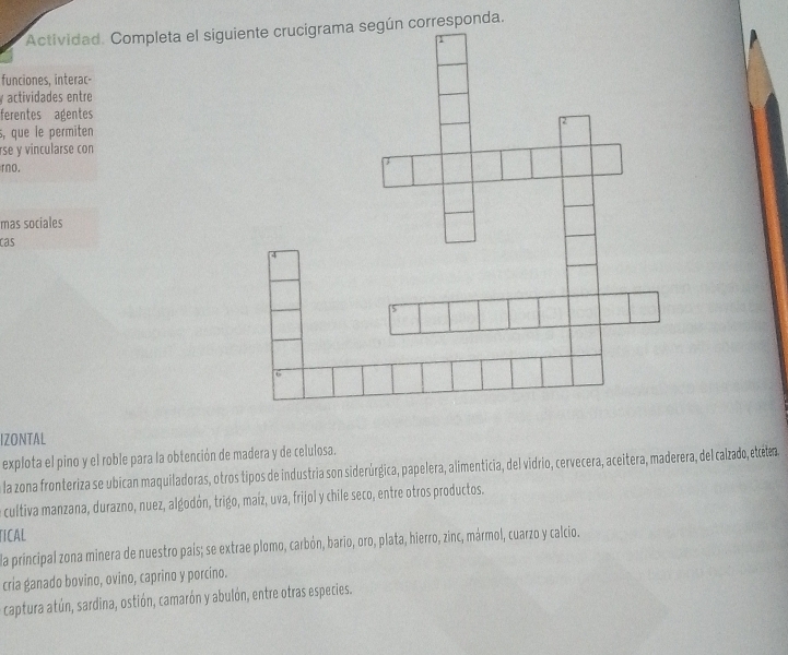 Actividad. Completa el sigurresponda. 
funciones, interac- 
actividades entre 
ferentes agentes 
s, que le permiten 
rse y vincularse con 
rno. 
mas sociales 
cas 
IZONTAL 
explota el pino y el roble para la obtención de madera y de celulosa. 
la zona fronteriza se ubican maquiladoras, otros tipos de industria son siderúrgica, papelera, alimenticia, del vidrio, cervecera, aceitera, maderera, del calzado, etela 
a cultiva manzana, durazno, nuez, algodón, trigo, maíz, uva, frijol y chile seco, entre otros productos. 
TICAL 
la principal zona minera de nuestro país; se extrae plomo, carbón, bario, oro, plata, hierro, zinc, mármol, cuarzo y calcio. 
cria ganado bovino, ovino, caprino y porcino. 
captura atún, sardina, ostión, camarón y abulón, entre otras especies.
