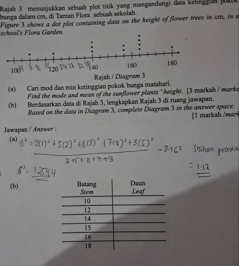 Rajah 3 menunjukkan sebuah plot titik yang mengandungi data ketinggian pokuk 
bunga dalam cm, di Taman Flora sebuah sekolah. 
Figure 3 shows a dot plot containing data on the height of flower trees in cm, in a 
school's Flora Garden. 
Rajah / Diagram 3 
(a) Cari mod dan min ketinggian pokok bunga matahari. 
Find the mode and mean of the sunflower plants ' height. [3 markah / marks 
(b) Berdasarkan data di Rajah 3, lengkapkan Rajah 3 di ruang jawapan. 
Based on the data in Diagram 3, complete Diagram 3 in the answer space. 
[1 markah /mɑrk 
Jawapan / Answer : 
(a) 
(b)