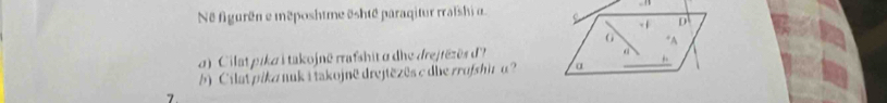 Né figurên e méposhtme ështé paraqitur rraïshi u 
d) Cilat pika i takojnë rrafshit α dhe drejtézës d 
b) Cilat pika nuk i takojnë drejtèzês c die rrofshi α? 
7