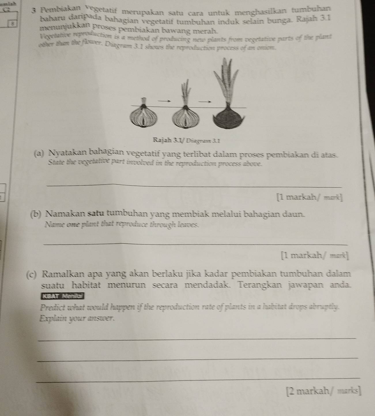 C2 3 Pembiakan vegetatif merupakan satu cara untuk menghasilkan tumbuhan 
baharu daripada bahagian vegetatif tumbuhan induk selain bunga. Rajah 3.1 
8 menunjukkan proses pembiakan bawang merah. 
Vegetative reproduction is a method of producing new plants from vegetative parts of the plant 
other than the flower. Diagram 3.1 shows the reproduction process of an onion. 
Rajah 3.1/ Diagram 3.1 
(a) Nyatakan bahagian vegetatif yang terlibat dalam proses pembiakan di atas. 
State the vegetative part involved in the reproduction process above. 
_ 
[1 markah/ murk] 
(b) Namakan satu tumbuhan yang membiak melalui bahagian daun. 
Name one plant that reproduce through leaves. 
_ 
[1 markah/ murk] 
(c) Ramalkan apa yang akan berlaku jika kadar pembiakan tumbuhan dalam 
suatu habitat menurun secara mendadak. Terangkan jawapan anda. 
KBAT Menilai 
Predict what would happen if the reproduction rate of plants in a habitat drops abruptly. 
Explain your answer. 
_ 
_ 
_ 
[2 markah/ marks]