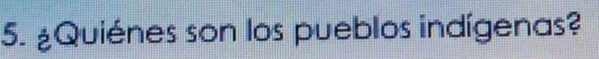 ¿Quiénes son los pueblos indígenas?