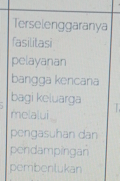 Terselenggaranya 
fasilitasi 
pelayanan 
bangga kencana 
bagi keluarga 
melalui 
pengasuhan dan 
pendampingan 
pembenlukan