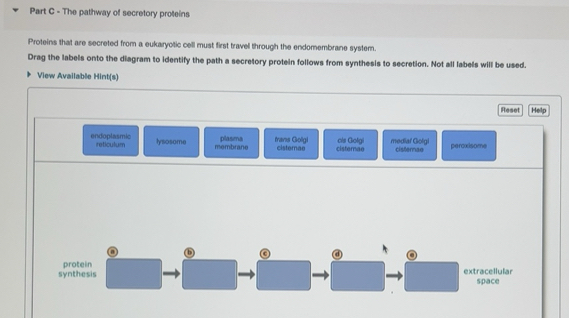Gelöst:The pathway of secretory proteins Proteins that are secreted ...