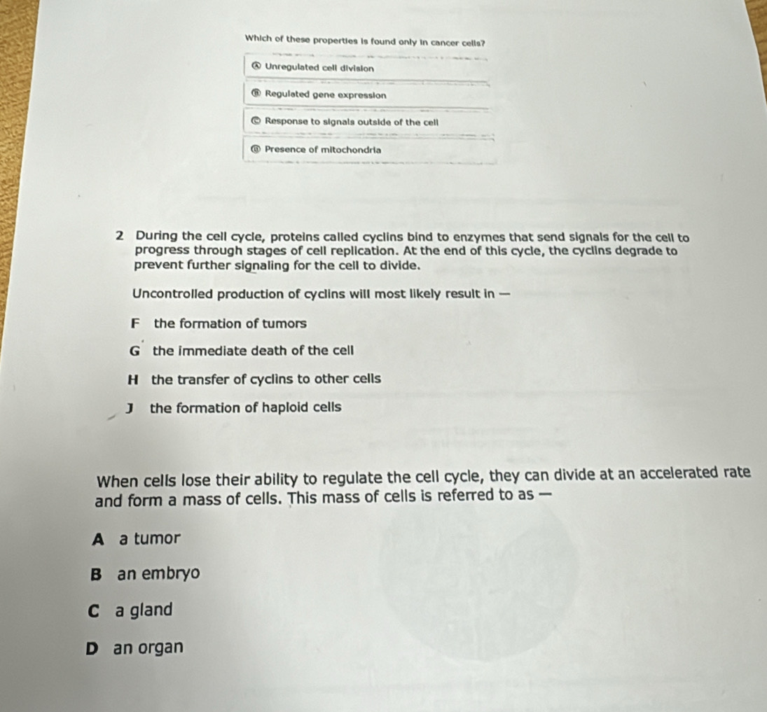 Which of these properties is found only in cancer cells?
A Unregulated cell division
Regulated gene expression
Response to signals outside of the cell
Presence of mitochondria
2 During the cell cycle, proteins called cyclins bind to enzymes that send signals for the cell to
progress through stages of cell replication. At the end of this cycle, the cyclins degrade to
prevent further signaling for the cell to divide.
Uncontrolled production of cyclins will most likely result in —
F the formation of tumors
G the immediate death of the cell
H the transfer of cyclins to other cells
J the formation of haploid cells
When cells lose their ability to regulate the cell cycle, they can divide at an accelerated rate
and form a mass of cells. This mass of cells is referred to as —
A a tumor
B an embryo
C a gland
D an organ
