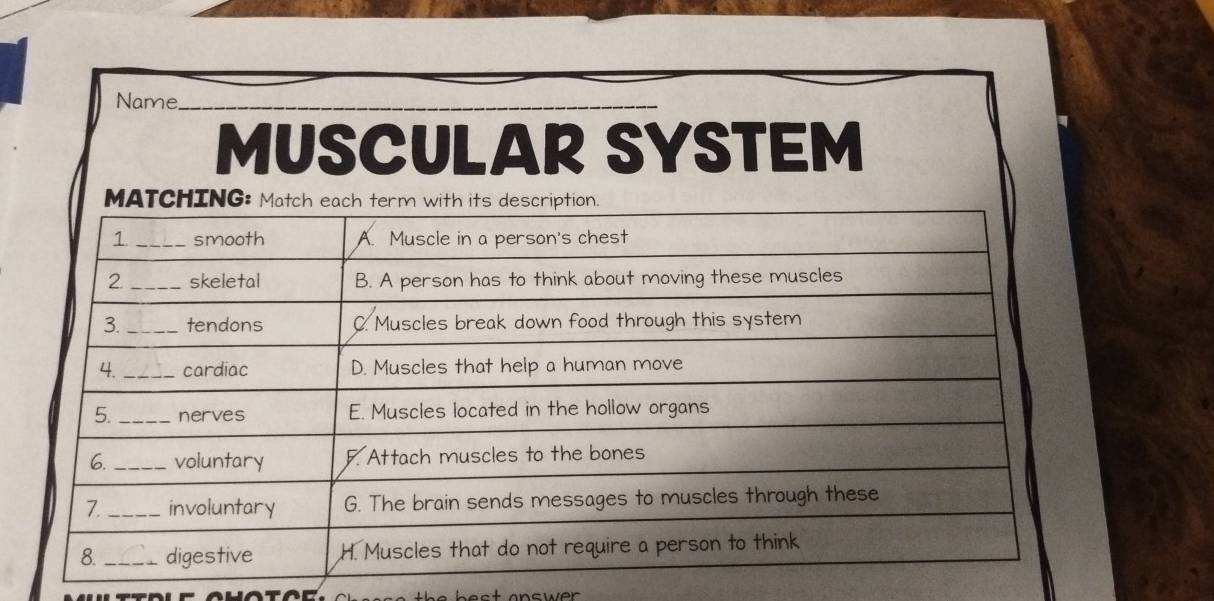 Name_ 
_ 
MUSCULAR SYSTEM