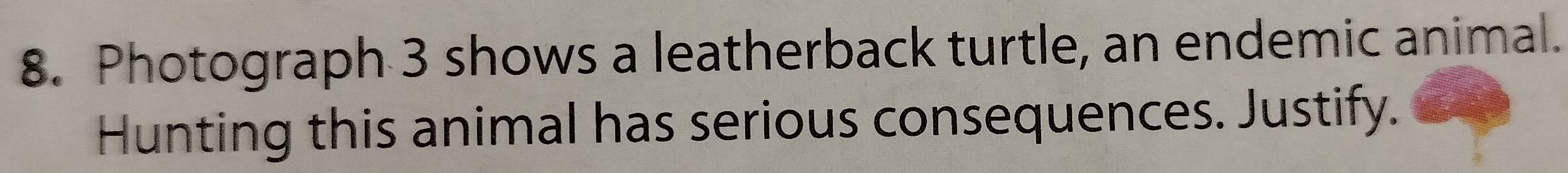 Photograph 3 shows a leatherback turtle, an endemic animal. 
Hunting this animal has serious consequences. Justify.