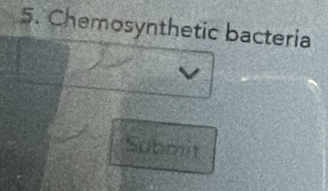 Chemosynthetic bacteria 
Submit