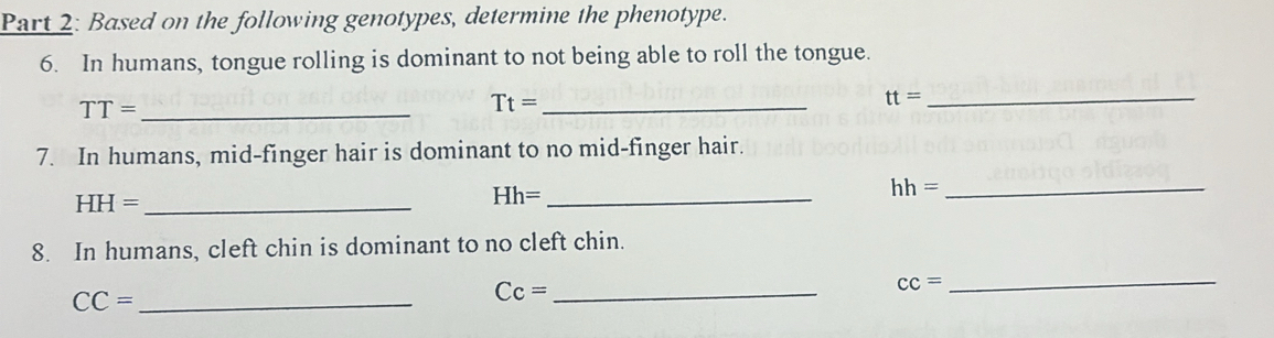 Based on the following genotypes, determine the phenotype. 
6. In humans, tongue rolling is dominant to not being able to roll the tongue. 
_ TT=
_ Tt=
_ tt=
7. In humans, mid-finger hair is dominant to no mid-finger hair. 
_ HH=
Hh= _
hh=
_ 
8. In humans, cleft chin is dominant to no cleft chin.
CC= _
Cc= _
cc=
_