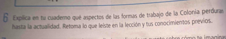 Explica en tu cuaderno qué aspectos de las formas de trabajo de la Colonia perdura 
hasta la actualidad. Retoma lo que leíste en la lección y tus conocimientos previos.