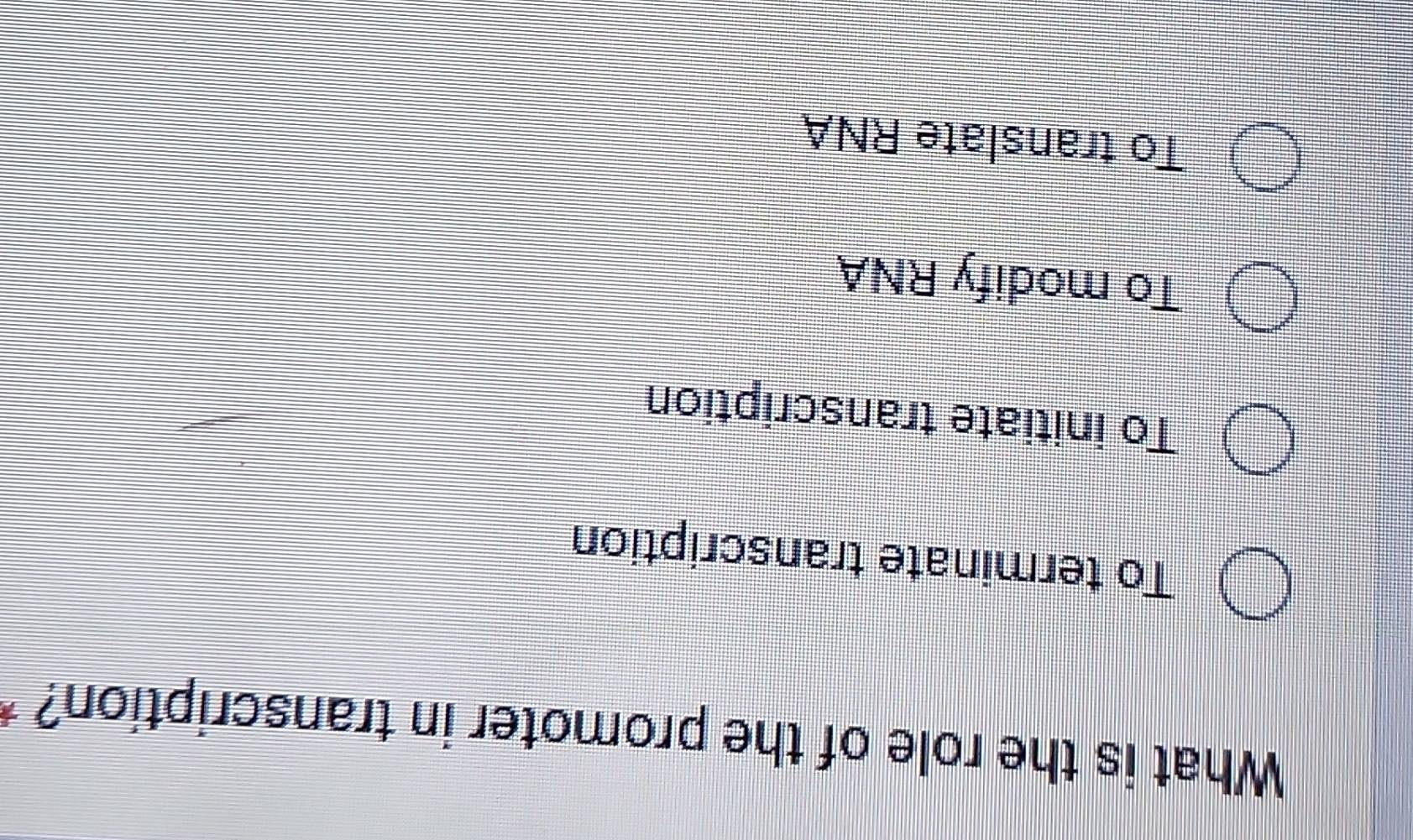What is the role of the promoter in transcription?
To terminate transcription
To initiate transcription
To modify RNA
To translate RNA