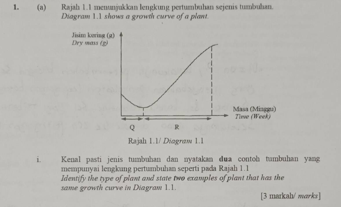 Rajah 1.1 menunjukkan lengkung pertumbuhan sejenis tumbuhan. 
Diagram 1.1 shows a growth curve of a plant. 
i. Kenal pasti jenis tumbuhan dan nyatakan dua contoh tumbuhan yang 
mempunyai lengkung pertumbuhan seperti pada Rajah 1.1 
Identify the type of plant and state two examples of plant that has the 
same growth curve in Diagram 1.1. 
[3 markah/ marks]