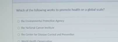 Which of the following works to promote health on a global scale?
the Environmental Protection Agency
the National Cancer Institute
the Center for Disease Control and Prevention
World Heslth Orzanization