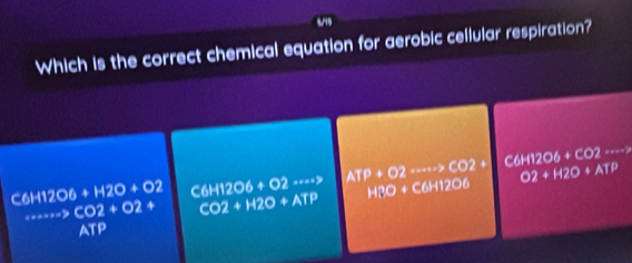 Which is the correct chemical equation for aerobic cellular respiration?
C6H12O6+H2O+O2 C6H12O6+O2.... ATP+O2·s ·s ,CO2+ C6H12O6+CO2·s ·s.=7 CO2+O2+ CO2+H2O+ATP H3O+C6H12O6 O2+H2O+ATP
ATP