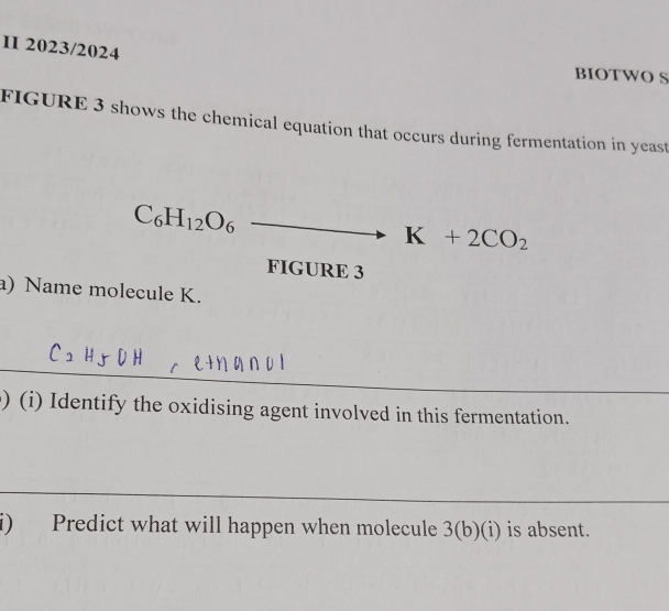 II 2023/2024 
BIOTWO S 
FIGURE 3 shows the chemical equation that occurs during fermentation in yeast
C_6H_12O_6to K+2CO_2
FIGURE 3 
a) Name molecule K. 
_ 
) (i) Identify the oxidising agent involved in this fermentation. 
_ 
i) Predict what will happen when molecule 3(b)(i) is absent.