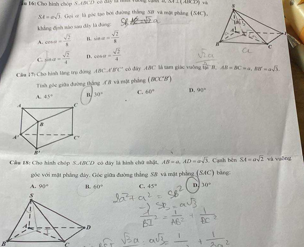 fu 16: Cho hình chóp S AB CD có đây là hình vương cạnh 4, SA⊥(ABCD) và
SA=asqrt(3) : Gọi & là góc tạo bởi đường thắng SB và mặt phẳng (SAC),
khẳng định nào sau đây là đúng:
A. cos alpha = sqrt(2)/8  B. sin alpha = sqrt(2)/8 
C. sin alpha = sqrt(2)/4  D. cos alpha = sqrt(2)/4 
Câu 17: Cho hình lăng trụ đứng ABC.A'B'C' có đáy ABC là tam giác vuông tại B, AB=BC=a,BB'=asqrt(3).
Tính góc giữa đường thắng A'B và mặt phẳng (BCC'B')
A. 45°
B. 30° C. 60°
D. 90°
Câu 18: Cho hình chóp S.ABCD có đây là hình chữ nhật, AB=a,AD=asqrt(3),. Cạnh bên SA=asqrt(2) và vuông
góc với mặt phẳng đáy. Góc giữa đường thẳng SB và mặt phẳng (SAC) bằng:
A. 90° B. 60° C. 45° D. 30°
B
c