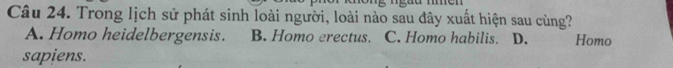 Trong lịch sử phát sinh loài người, loài nào sau đây xuất hiện sau cùng?
A. Homo heidelbergensis. B. Homo erectus. C. Homo habilis. D. Homo
sapiens.