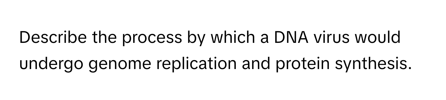 Describe the process by which a DNA virus would undergo genome replication and protein synthesis.