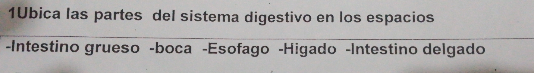 1Ubica las partes del sistema digestivo en los espacios 
-Intestino grueso -boca -Esofago -Higado -Intestino delgado