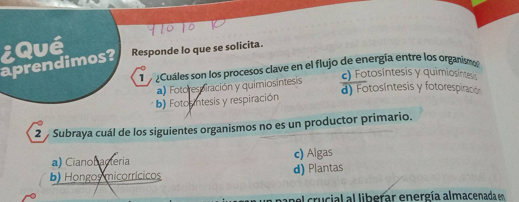 ¿Qué Responde lo que se solicita.
aprendimos?
o ¿Cuáles son los procesos clave en el flujo de energía entre los organismos
c) Fotosíntesis y quimiosíntesis
a) Fotorespiración y quimiosíntesis
d) Fotosíntesis y fotorespiración
b) Fotosintesis y respiración
2 % Subraya cuál de los siguientes organismos no es un productor primario.
a) Cianobacteria c) Algas
b) Hongos micorrícicos
d) Plantas
papel crucial al liberar energía almacenada en