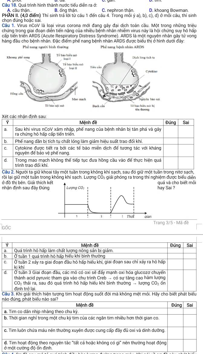 Quá trình hình thành nước tiểu diễn ra ở:
A. cầu thận. B. ống thận. C. nephron thận. D. khoanq Bowman.
PHAN II. (4,0 điểm) Thí sinh trả lời từ câu 1 đến câu 4. Trong mỗi ý a), b), c), d) ở mỗi câu, thí sinh
chọn đúng hoặc sai.
Câu 1. Virus nCoV là loại virus corona mới đang gây đại dịch toàn cầu. Một trong những triệu
chứng trong giai đoạn diễn tiến nặng của nhiều bệnh nhân nhiêm virus này là hội chứng suy hồ hấp
cấp tiến triển ARDS (Acute Respiratory Distress Syndrome). ARDS là một nguyên nhân gây tử vong
hàng đầu cho bệnh nhân. Đặc điểm phế nang bệnh nhân ARDS được biểu thị ở hình dưới đây:
 
Câu 2. Người ta giữ khoai tây một tuần trong không khí sạch, sau đó giữ một tuần trong nitơ sạch,
rỗi lại giữ một tuần trong không khí sạch. Lượng CO₂ giải phóng ra trong thí nghiệm được biểu diễn
ở đồ thị bên. Giải thích kết quả và cho biết mỗi
nhận định sau đây Đúng Lượng CO2 hay Sai ?
1 ! 2 ! : Thời qian
Trang 3/5 - Mã đề
GốC
Ý Mệnh đề Đúng Sai
a. Quá trình hô hấp làm chất lượng nông sản bị giảm.
b. Ở tuần 1 quá trình hô hấp hiểu khí bình thường
C. Ở tuần 2 xảy ra giai đoạn đầu hô hấp hiếu khí, giai đoạn sau chỉ xảy ra hô hấp
ki khí
d. Ở tuần 3 Giai đoạn đầu, các mô có oxi sẽ đẩy mạnh oxi hóa glucozơ chuyển
thành acid pyruvic tham gia vào chu trình Creb → có sự tăng cao hàm lượng
CO_2 thải ra, sau đó quá trình hô hấp hiếu khí bình thường - lượng CO_2 ổn
đinh trở lại.
Câu 3. Khi giải thích hiện tượng tim hoạt động suốt đời mà không mệt mỏi. Hãy cho biết phát biểu
n