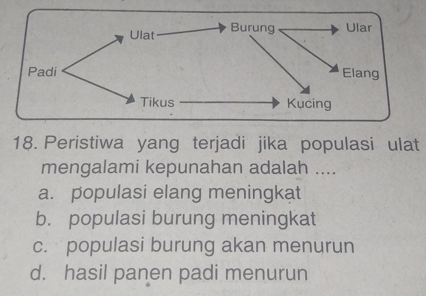 Peristiwa yang terjadi jika populasi ulat
mengalami kepunahan adalah ....
a. populasi elang meningkat
b. populasi burung meningkat
c. populasi burung akan menurun
d. hasil panen padi menurun