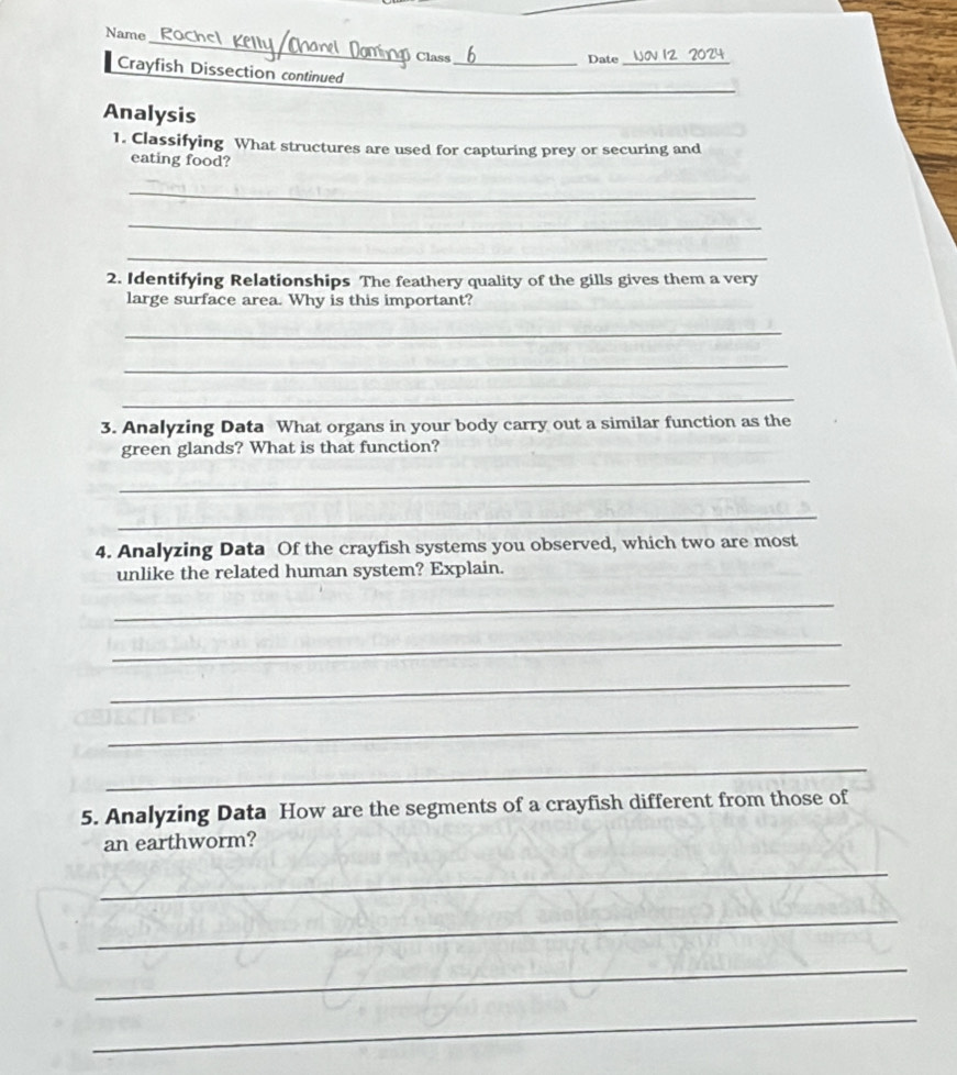 Name 
Class _Date_ 
_ 
Crayfish Dissection continued 
Analysis 
1. Classifying What structures are used for capturing prey or securing and 
eating food? 
_ 
_ 
_ 
2. Identifying Relationships The feathery quality of the gills gives them a very 
large surface area. Why is this important? 
_ 
_ 
_ 
3. Analyzing Data What organs in your body carry out a similar function as the 
green glands? What is that function? 
_ 
_ 
4. Analyzing Data Of the crayfish systems you observed, which two are most 
unlike the related human system? Explain. 
_ 
_ 
_ 
_ 
_ 
5. Analyzing Data How are the segments of a crayfish different from those of 
an earthworm? 
_ 
_ 
_ 
_