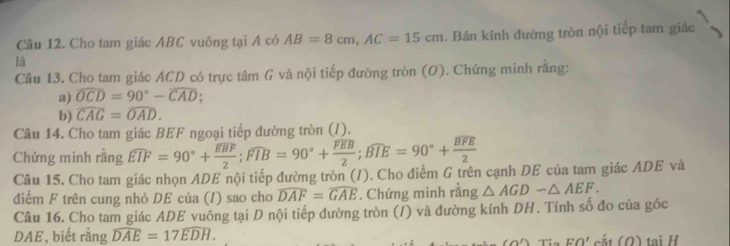 Cho tam giác ABC vuông tại A có AB=8cm, AC=15cm. Bán kính đường tròn nội tiếp tam giác 
là 
Câu 13. Cho tam giác ACD có trực tâm G và nội tiếp đường tròn (O). Chứng minh rằng: 
a) widehat OCD=90°-widehat CAD; 
b) widehat CAG=widehat OAD. 
Câu 14. Cho tam giác BEF ngoại tiếp đường tròn (I). 
Chứng minh rằng widehat EIF=90°+frac widehat EBF2; widehat FIB=90°+frac widehat FEB2; widehat BIE=90°+frac overline BFE2
Câu 15. Cho tam giác nhọn ADE nội tiếp đường tròn (/). Cho điểm G trên cạnh DE của tam giác ADE và 
điểm F trên cung nhỏ DE của (I) sao cho overline DAF=overline GAE. Chứng minh rằng △ AGDsim △ AEF. 
Câu 16. Cho tam giác ADE vuông tại D nội tiếp đường tròn (/) và đường kính DH. Tính số đo của góc 
DAE, biết rằng widehat DAE=17widehat EDH.
EO'