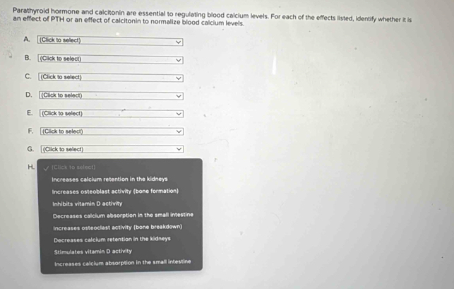 Parathyroid hormone and calcitonin are essential to regulating blood calcium levels. For each of the effects listed, identify whether it is
an effect of PTH or an effect of calcitonin to normalize blood calcium levels.
A. (Click to select)
B. (Click to select)
C. [(Click to select)
D. [(Click to select)
E. [(Click to select)
F. (Click to select)
G. (Click to select)
H. (Click to select)
Increases calcium retention in the kidneys
Increases osteoblast activity (bone formation)
Inhibits vitamin D activity
Decreases calcium absorption in the small intestine
Increases osteoclast activity (bone breakdown)
Decreases calcium retention in the kidneys
Stimulates vitamin D activity
Increases calcium absorption in the small intestine