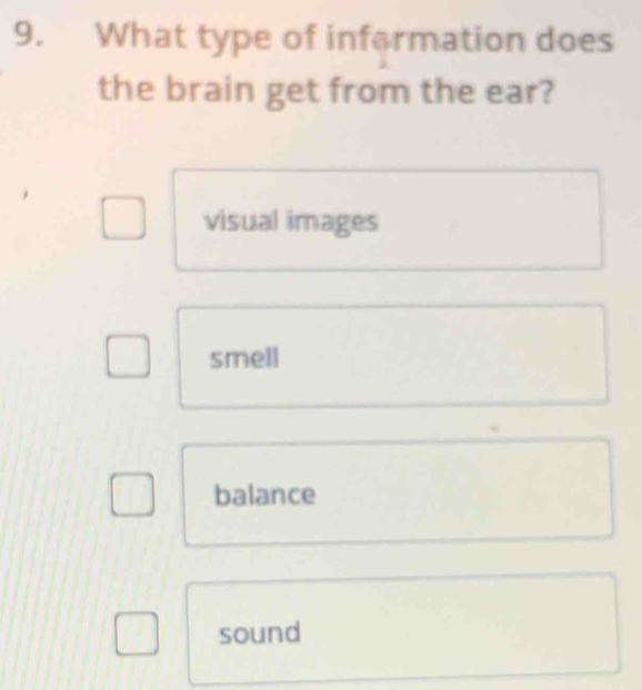 What type of information does
the brain get from the ear?
visual images
smell
balance
sound