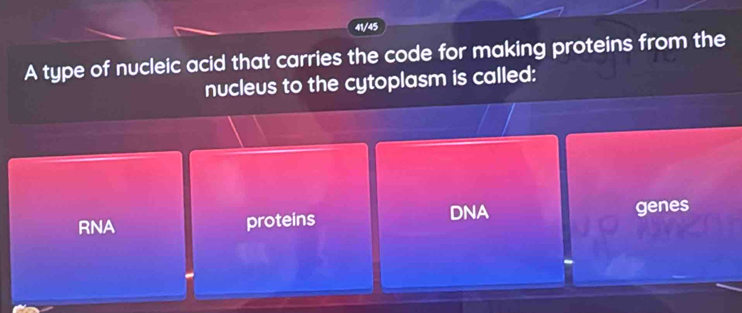 41/45
A type of nucleic acid that carries the code for making proteins from the
nucleus to the cytoplasm is called:
RNA genes
proteins DNA