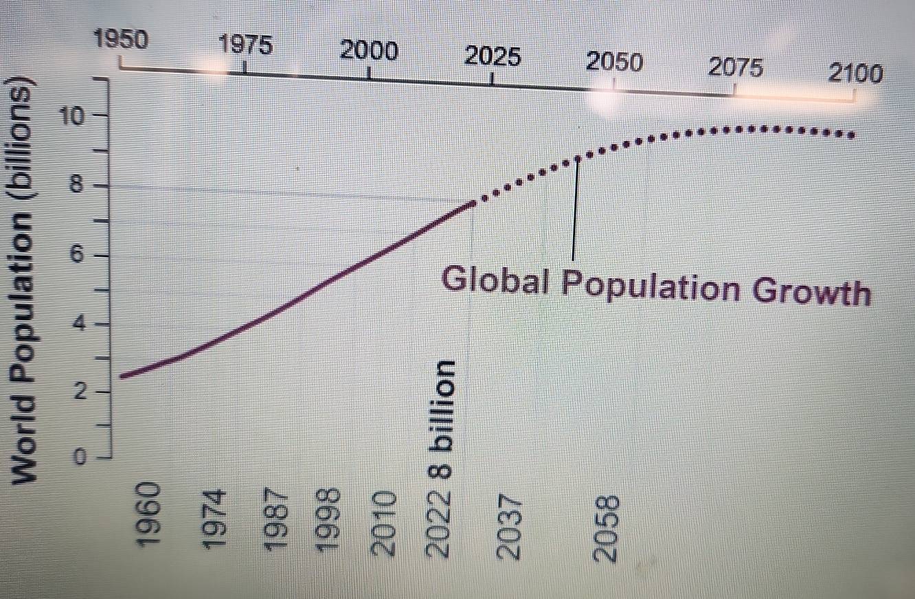 1950 1975 2000 2025 2050 2075 2100
10
8
6
Global Population Growth
4
2
0;
8 B