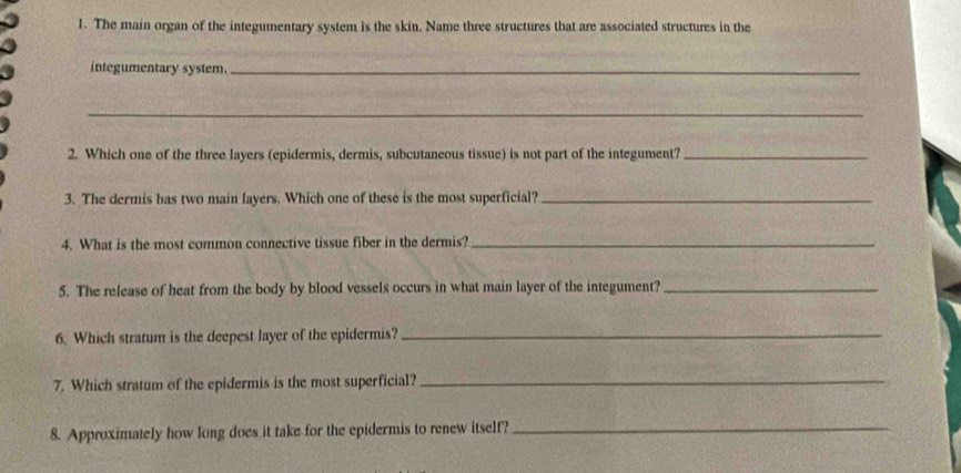 The main organ of the integumentary system is the skin, Name three structures that are associated structures in the 
integumentary system._ 
_ 
2. Which one of the three layers (epidermis, dermis, subcutaneous tissue) is not part of the integument?_ 
3. The dermis has two main layers. Which one of these is the most superficial?_ 
4. What is the most common connective tissue fiber in the dermis?_ 
5. The release of heat from the body by blood vessels occurs in what main layer of the integument?_ 
6. Which stratum is the deepest layer of the epidermis?_ 
7. Which stratum of the epidermis is the most superficial?_ 
8. Approximately how long does it take for the epidermis to renew itself?_