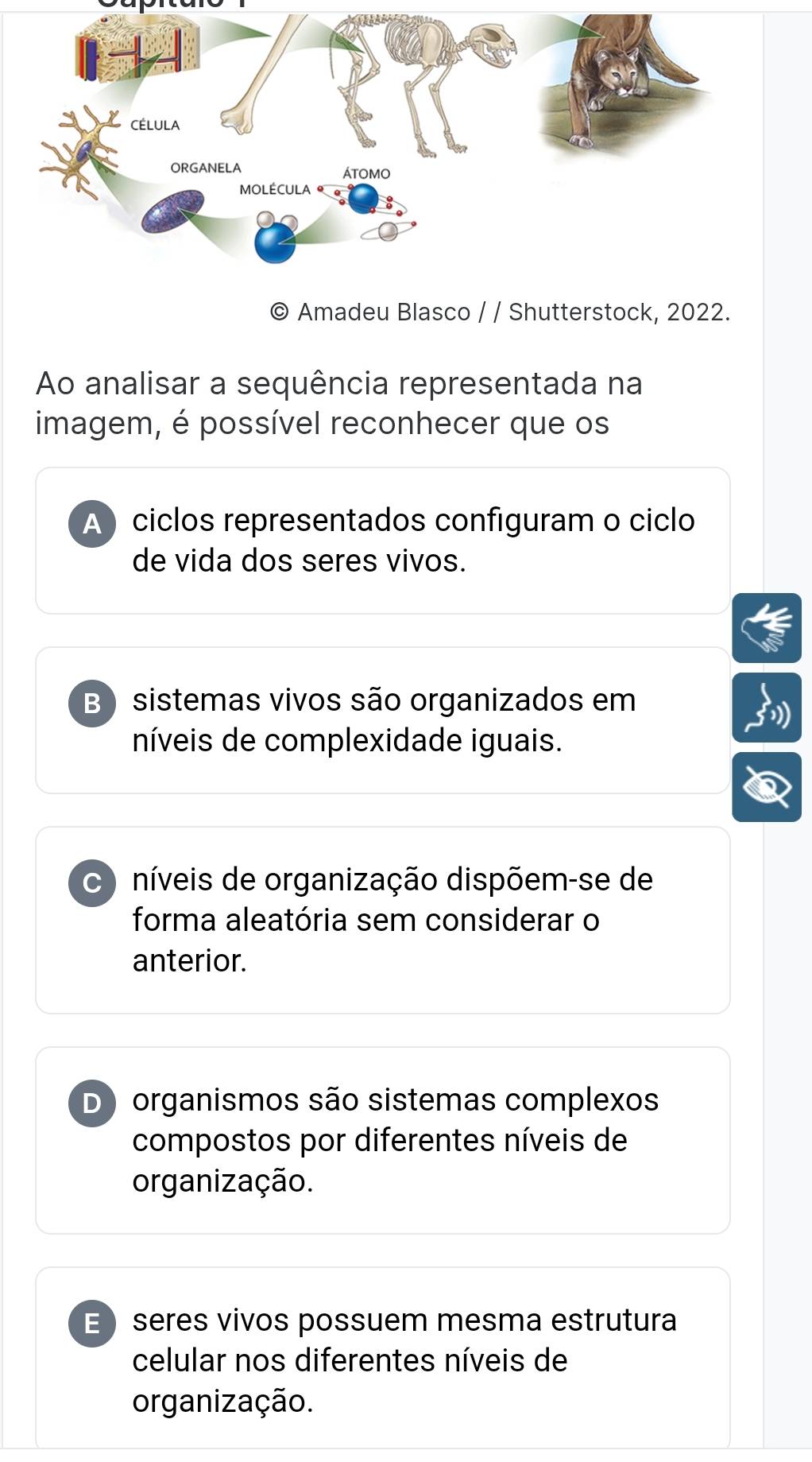 Amadeu Blasco / / Shutterstock, 2022.
Ao analisar a sequência representada na
imagem, é possível reconhecer que os
A ciclos representados configuram o ciclo
de vida dos seres vivos.
B ) sistemas vivos são organizados em
níveis de complexidade iguais.
C níveis de organização dispõem-se de
forma aleatória sem considerar o
anterior.
Do organismos são sistemas complexos
compostos por diferentes níveis de
organização.
E seres vivos possuem mesma estrutura
celular nos diferentes níveis de
organização.