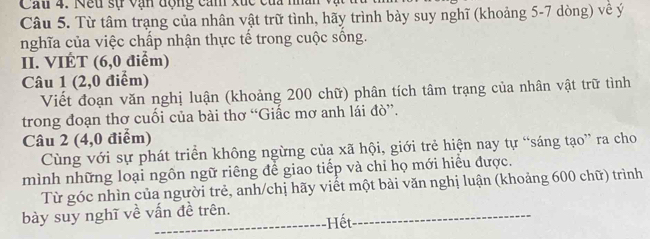 Cau 4. Nêu sự vận động cảm xuc cua nhân vật tu ở 
Câu 5. Từ tâm trạng của nhân vật trữ tình, hãy trình bày suy nghĩ (khoảng 5-7 dòng) về ý 
nghĩa của việc chấp nhận thực tế trong cuộc sông. 
II. VIÉT (6,0 điểm) 
Câu 1 (2,0 điểm) 
Viết đoạn văn nghị luận (khoảng 200 chữ) phân tích tâm trạng của nhân vật trữ tình 
trong đoạn thơ cuối của bài thơ “Giấc mơ anh lái đò”. 
Câu 2 (4,0 điểm) 
Cùng với sự phát triển không ngừng của xã hội, giới trẻ hiện nay tự “sáng tạo” ra cho 
mình những loại ngôn ngữ riêng để giao tiếp và chỉ họ mới hiều được. 
Từ góc nhìn của người trẻ, anh/chị hãy viết một bài văn nghị luận (khoảng 600 chữ) trình 
bày suy nghĩ về vấn đề trên. Hết