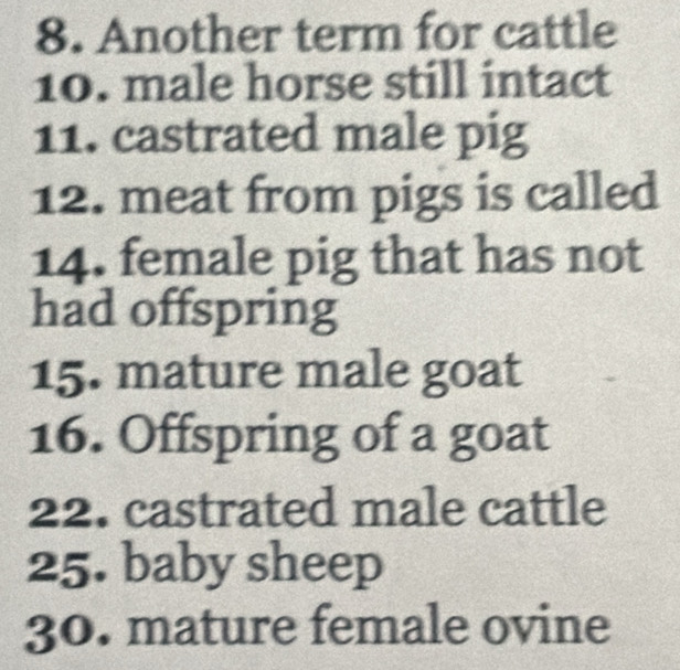 Another term for cattle 
10. male horse still intact 
11. castrated male pig 
12. meat from pigs is called 
14. female pig that has not 
had offspring 
15. mature male goat 
16. Offspring of a goat 
22. castrated male cattle 
25. baby sheep 
30. mature female ovine