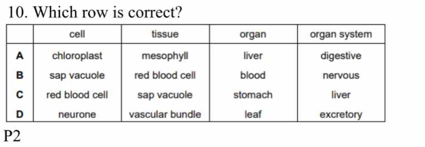 Which row is correct?
P2