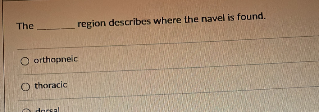 The _region describes where the navel is found.
orthopneic
thoracic
dorsal