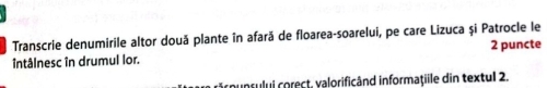 Transcrie denumirile altor două plante în afară de floarea-soarelui, pe care Lizuca și Patrocle le 
întâlnesc în drumul lor. 2 puncte 
rounsului corect, valorificând informaţiile din textul 2.