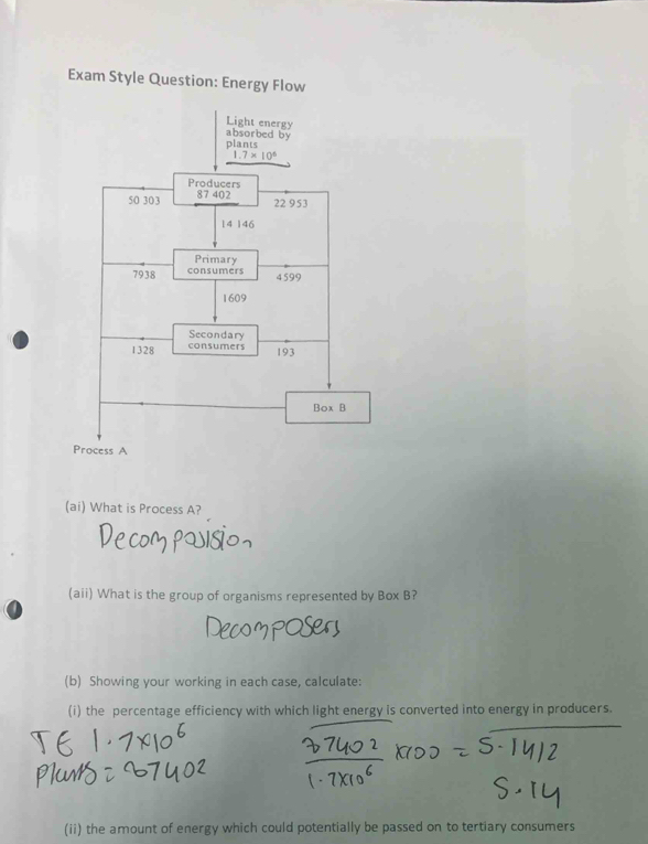 Exam Style Question: Energy Flow
(ai) What is Process A?
(aii) What is the group of organisms represented by Box B?
(b) Showing your working in each case, calculate:
(i) the percentage efficiency with which light energy is converted into energy in producers.
(ii) the amount of energy which could potentially be passed on to tertiary consumers