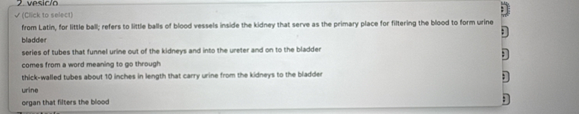 vesicão
(Click to select)
from Latin, for little ball; refers to little balls of blood vessels inside the kidney that serve as the primary place for filtering the blood to form urine
bladder
series of tubes that funnel urine out of the kidneys and into the ureter and on to the bladder
comes from a word meaning to go through
thick-walled tubes about 10 inches in length that carry urine from the kidneys to the bladder
urine
organ that filters the blood