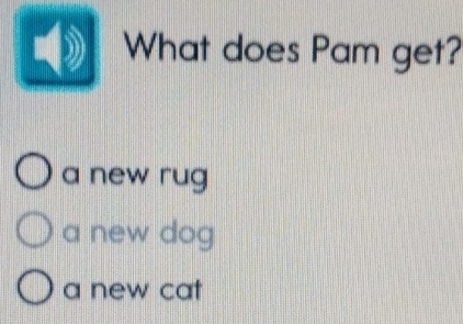 What does Pam get?
a new rug
a new dog
a new cat