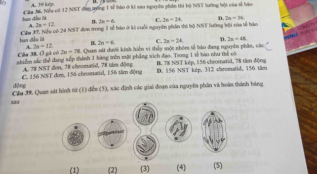 8i? A. 39 kép.
B. 78 don
Câu 36. Nếu có 12 NST đơn trong 1 tế bào ở kì sau nguyên phân thì bộ NST lưỡng bội của tế bào
ban đầu là 2n=36.
A. 2n=12. B. 2n=6. C. 2n=24. D.
Câu 37. Nếu có 24 NST đơn trong 1 tế bào ở kì cuối nguyên phân thì bộ NST lưỡng bội của tế bào
ban đầu là D. 2n=48. Pon2 xuất bà CONG TY
A. 2n=12. B. 2n=6. C. 2n=24. 
Câu 38. Ở gà có 2n=78 C. Quan sát dưới kính hiển vi thấy một nhóm tế bào đang nguyên phân, các
nhiễm sắc thể đang xếp thành 1 hàng trên mặt phẳng xích đạo. Trong 1 tế bào như thế có
A. 78 NST đơn, 78 chromatid, 78 tâm động B. 78 NST kép, 156 chromatid, 78 tâm động
C. 156 NST đơn, 156 chromatid, 156 tâm động D. 156 NST kép, 312 chromatid, 156 tâm
động
Câu 39. Quan sát hình từ (1) đến (5), xác định các giai đoạn của nguyên phân và hoàn thành bảng
sau
(1) (2) (3) (4) (5)